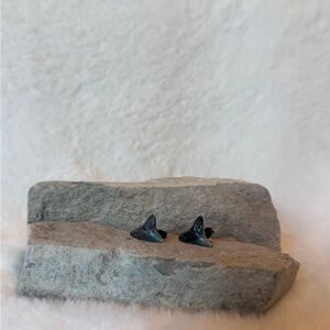 Shark Tooth Earrings